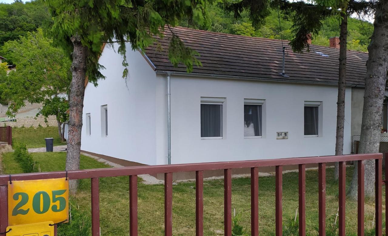 Elizabeth Vendeghaz Balatonfuzfon A Strandnal Exteriör bild
