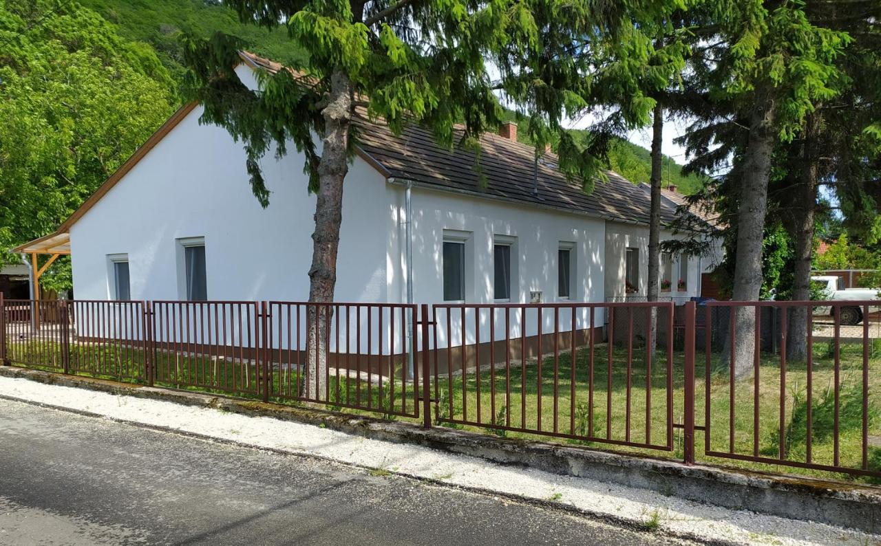 Elizabeth Vendeghaz Balatonfuzfon A Strandnal Exteriör bild
